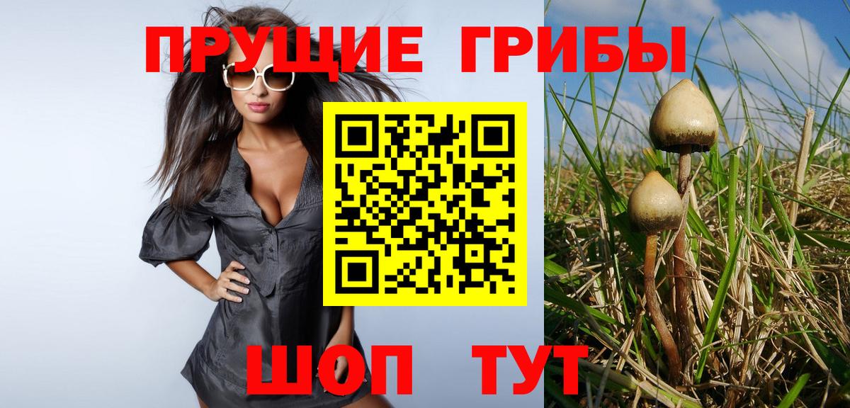 Псилоцибиновые грибы ЛСД  как найти   Галлюциногенные грибы Cubensis  Похвистнево  Вход с VPN 